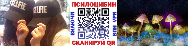 купить наркотики цена  дарк нет официальный сайт  mega   Галлюциногенные грибы Psilocybine cubensis  Каменск-Шахтинский 
